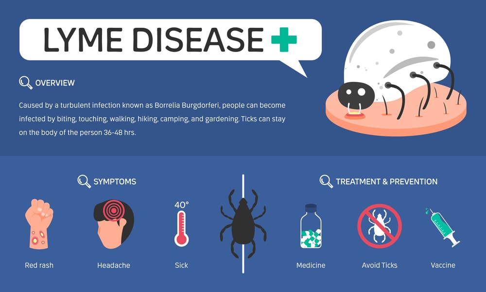 How is lyme disease treated