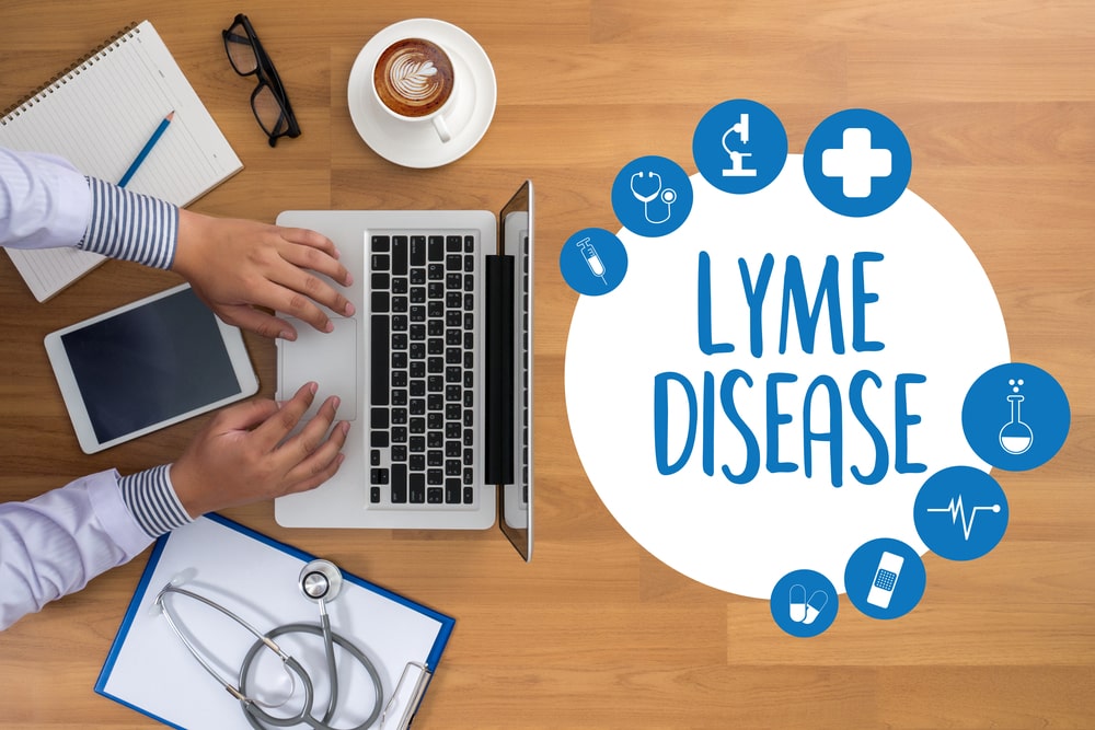 Lyme disease prevention