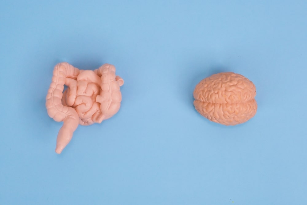 Gut-brain connection how gut health affects mental well-being?