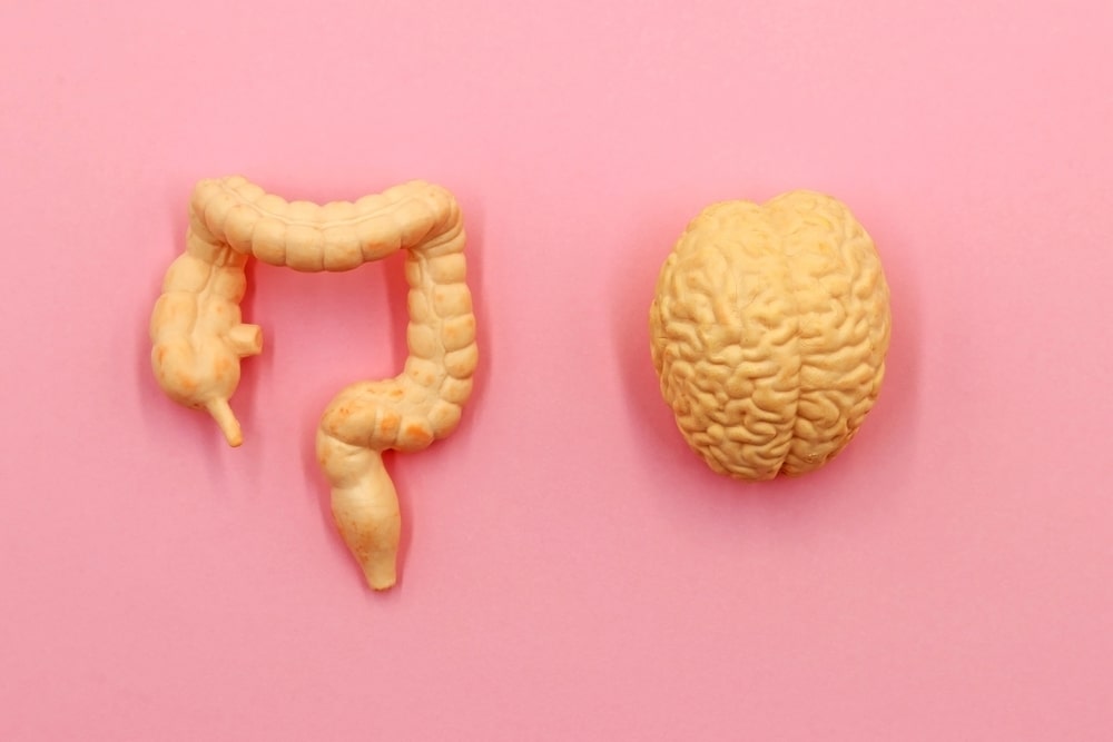 Gut-brain connection