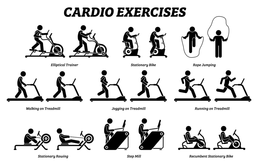 Why is cardiovascular exercise important?